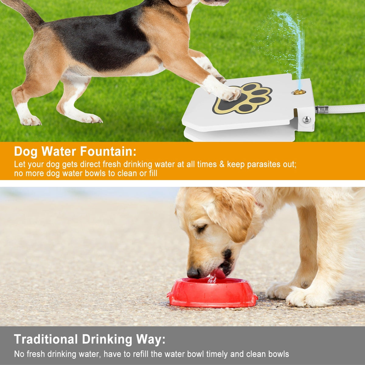 Outdoor Dog Water Fountain with Paw Pedal