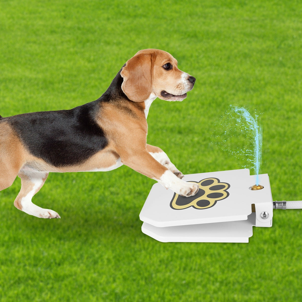 Outdoor Dog Water Fountain with Paw Pedal