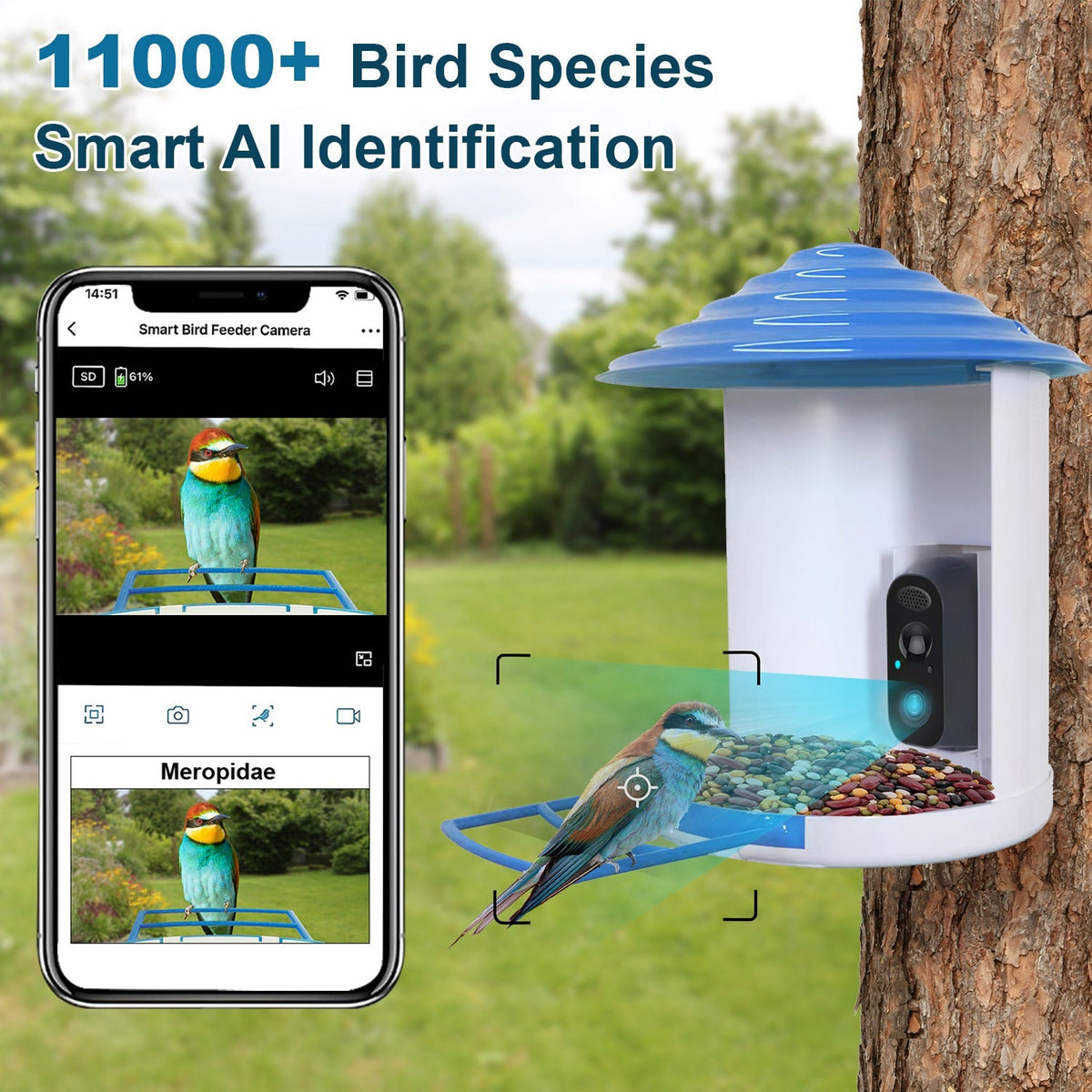 Solar Bird Feeder Camera 1080P HD AI Bird ID