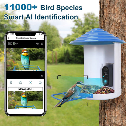 Solar Bird Feeder Camera 1080P HD AI Bird ID
