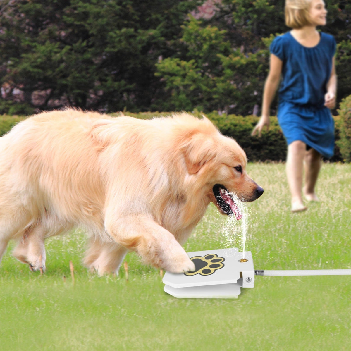 Outdoor Dog Water Fountain with Paw Pedal