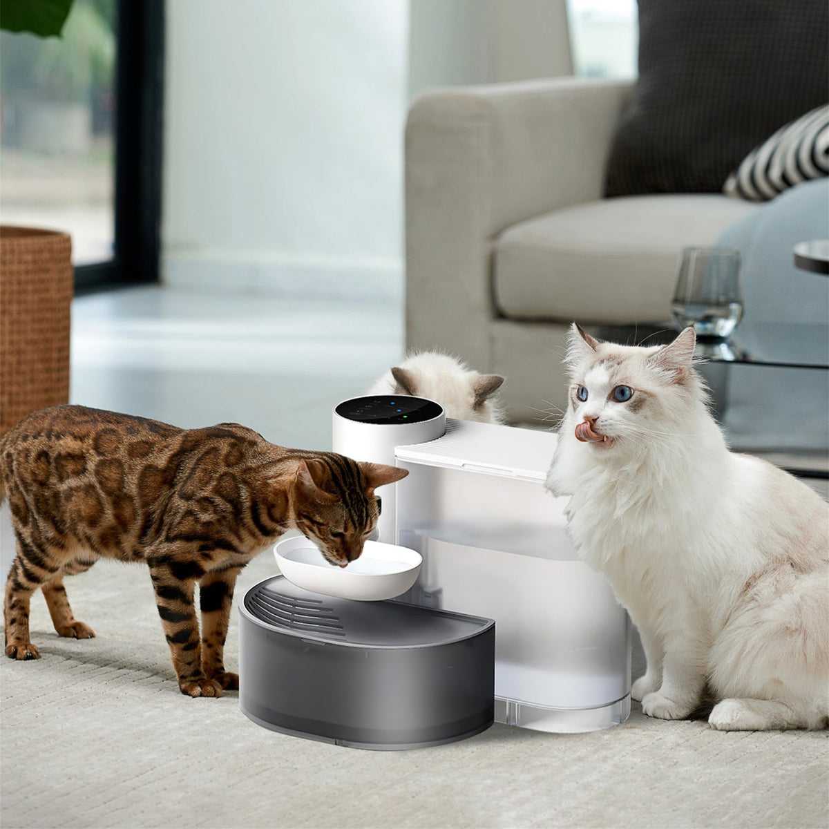 Smart Pet Water Fountain, 3L Cordless Rechargeable