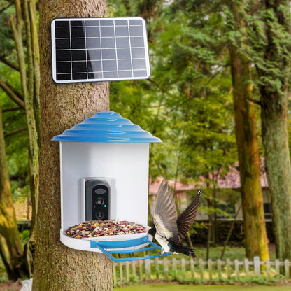 Solar Bird Feeder Camera 1080P HD AI Bird ID