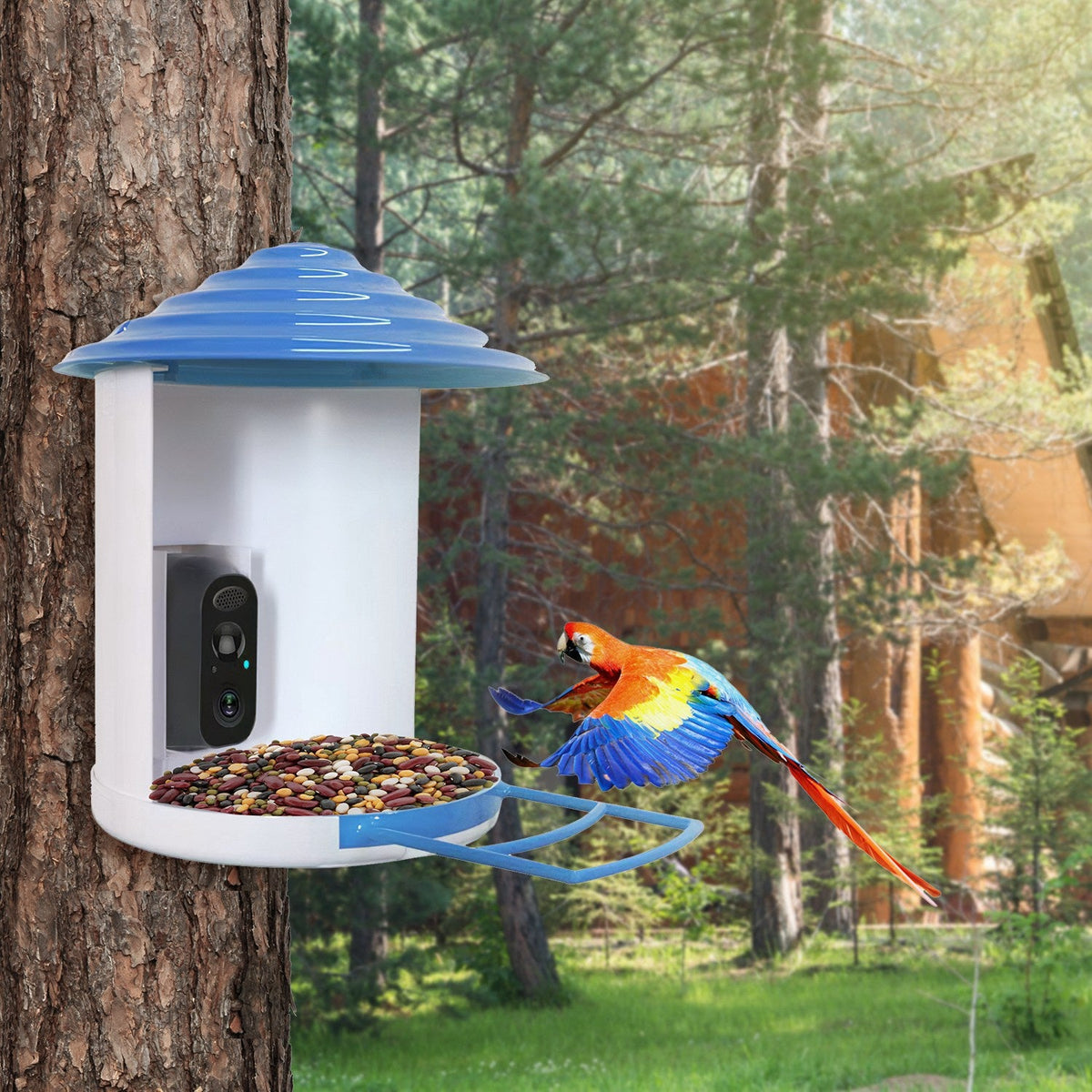 Solar Bird Feeder Camera 1080P HD AI Bird ID